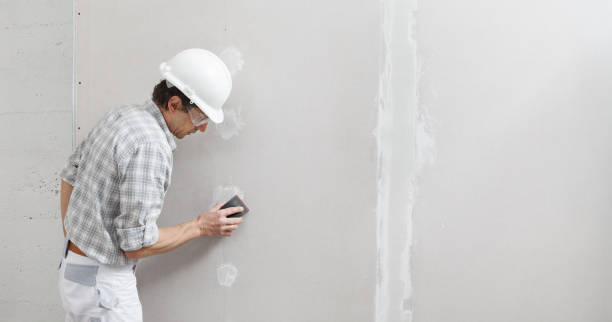 Best Commercial Painting  in Tanque Verde, AZ